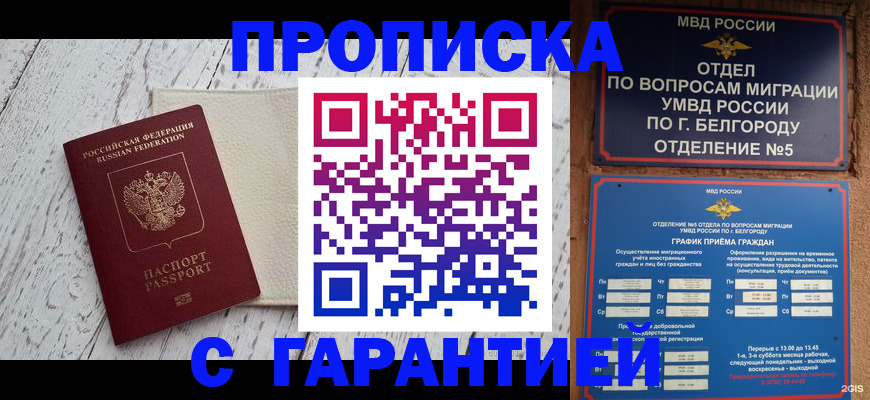 временная регистрация надежно в Туле